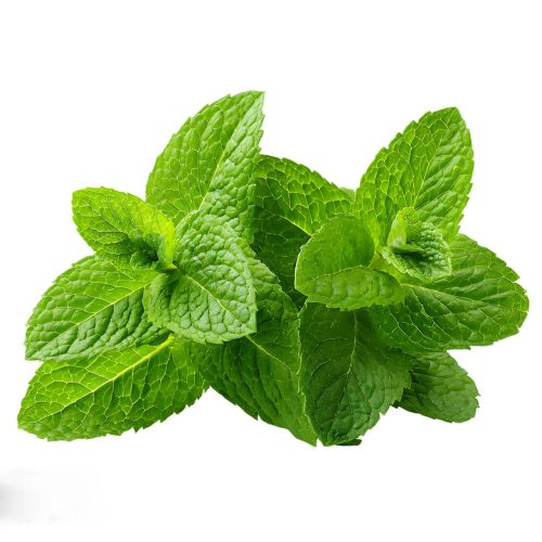 Menthol Lactate for Skincare